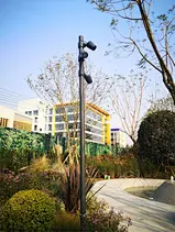 ROCKET 6000 Pole-1